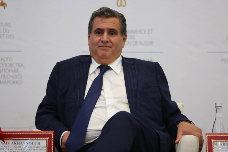 أخنوش: تأنيث المناصب العليا ارتفع إلى 19 في المائة سنة 2022
