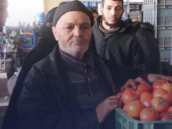 جدل شراء الطماطم من السوق المحلي في أوج أزمة الأسعار وإعادة تصديرها للخارج يصل البرلمان جدل شراء الطماطم من السوق المحلي في أوج أزمة الأسعار وإعادة تصديرها للخارج يصل البرلمان