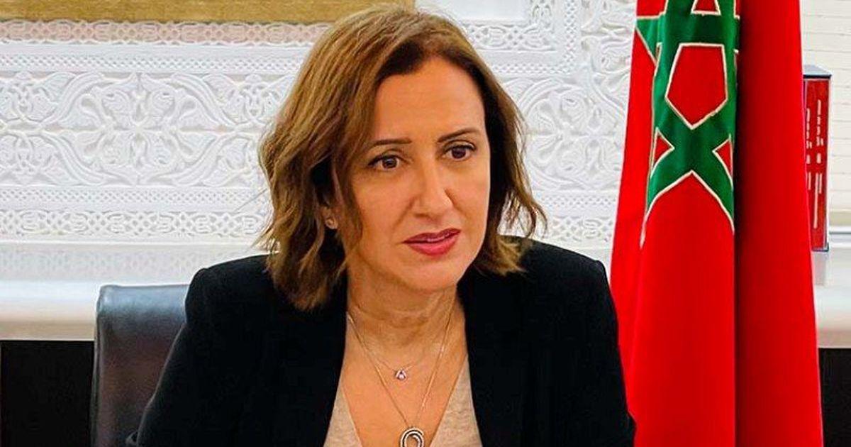 عمور تُسلط الضوء على خارطة طريق الاستراتيجية الوطنية لقطاع السياحة عمور تُسلط الضوء على خارطة طريق الاستراتيجية الوطنية لقطاع السياحة