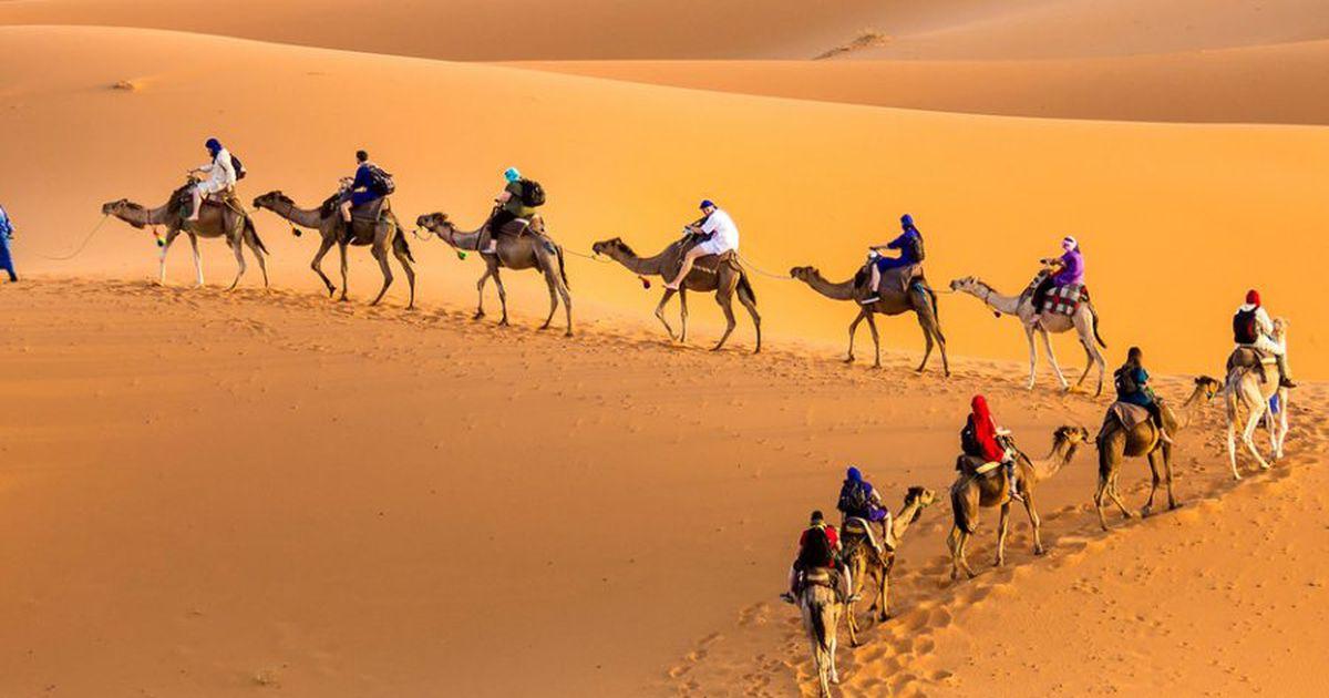 أزيد من 10 آلاف و800 سائحا توافدوا على إقليم طانطان خلال سنة 2022 أزيد من 10 آلاف و800 سائحا توافدوا على إقليم طانطان خلال سنة 2022
