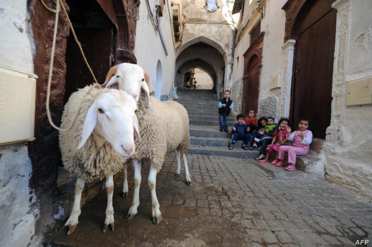 عيد الأضحى: حزب التقدم والاشتراكية يسائل الحكومة عن جودة القطيع المستورد
