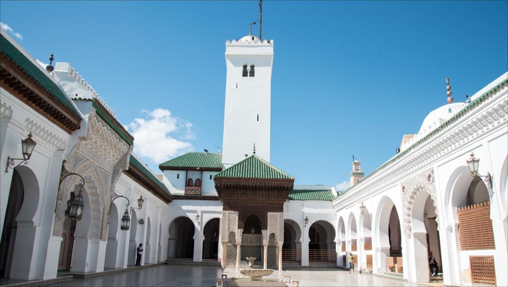 تاريخ: عندما منحت جامعة مغربية أقدم إجازة في الطب والصيدلة في العالم