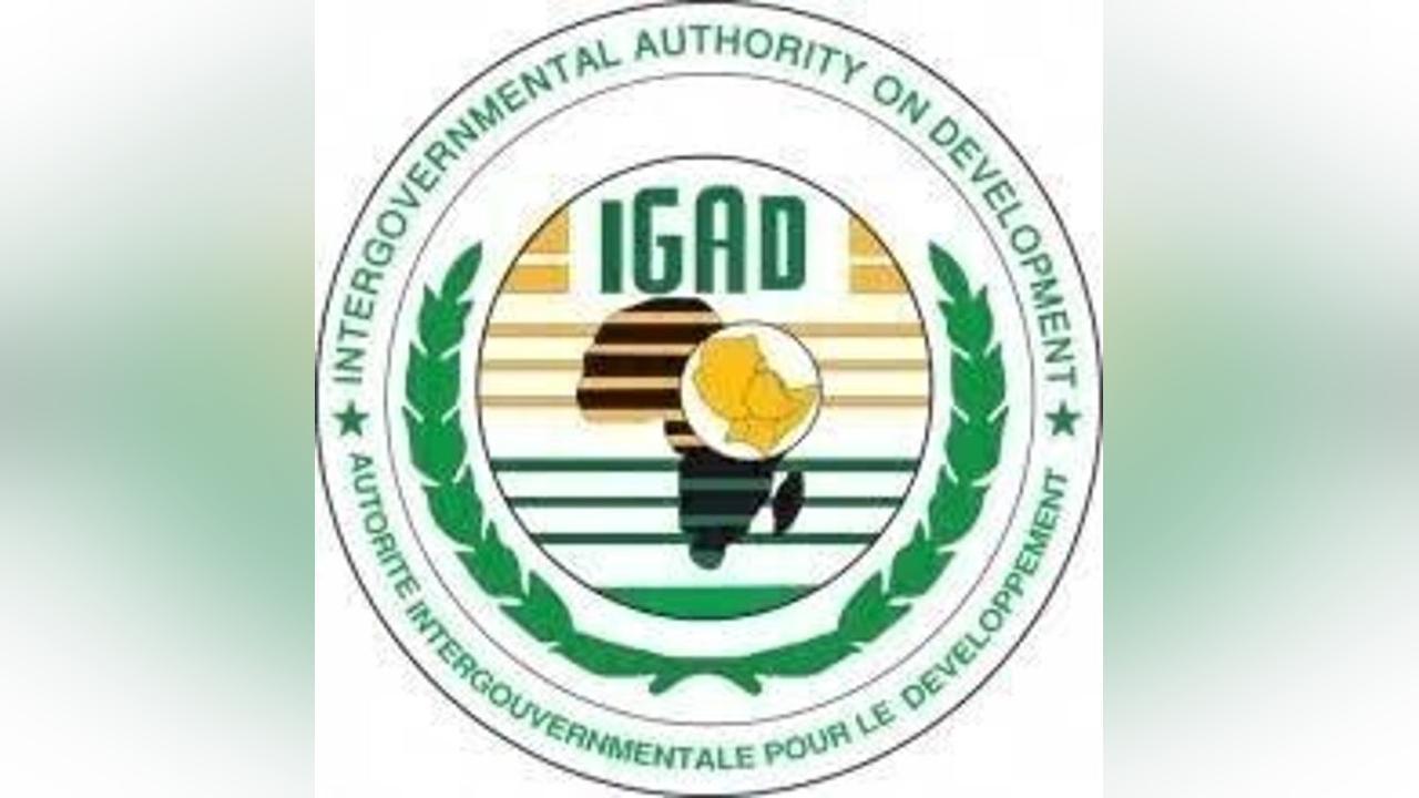 السكرتير التنفيذي لإيقاد يستقبل المبعوث الأمريكي الخاص للقرن الأفريقي السكرتير التنفيذي لإيقاد يستقبل المبعوث الأمريكي الخاص للقرن الأفريقي