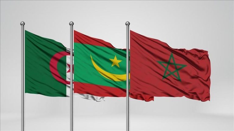 موريتانيا تشارك في منتدى داعم للبوليساريو في الجزائر