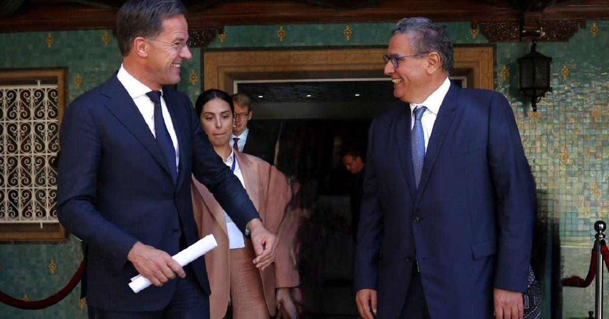 أخنوش ونظيره الهولندي يؤكدان على ضرورة تفعيل محاور جديدة للتعاون الاقتصادي أخنوش ونظيره الهولندي يؤكدان على ضرورة تفعيل محاور جديدة للتعاون الاقتصادي