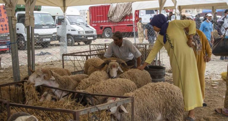 عيد الأضحى: نفقات الأسر تقدر بأكثر من 18 مليار درهم
