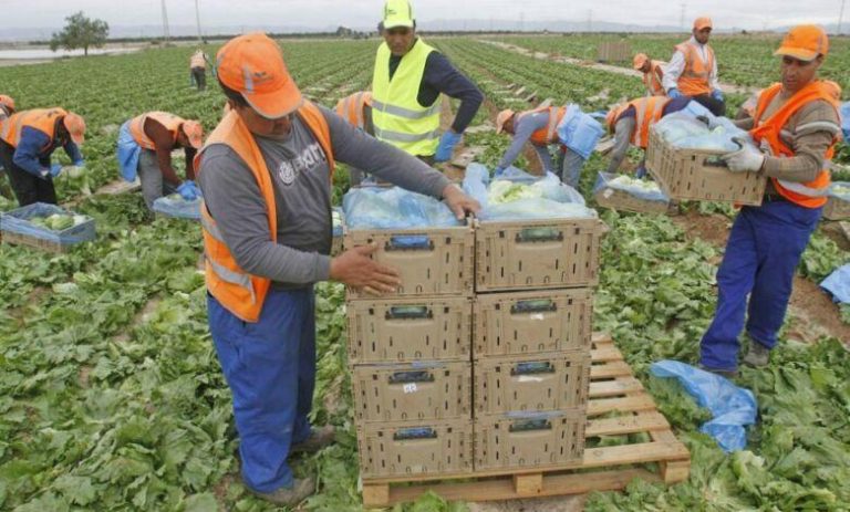 توقيع اتفاقية لتسهيل تشغيل العمال الزراعيين الموسميين المغاربة في فرنسا