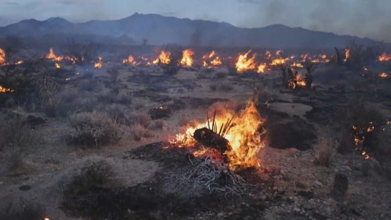 حرائق الغابات: خطورة متوسطة إلى قصوى يومي الثلاثاء والأربعاء في عدة أقاليم