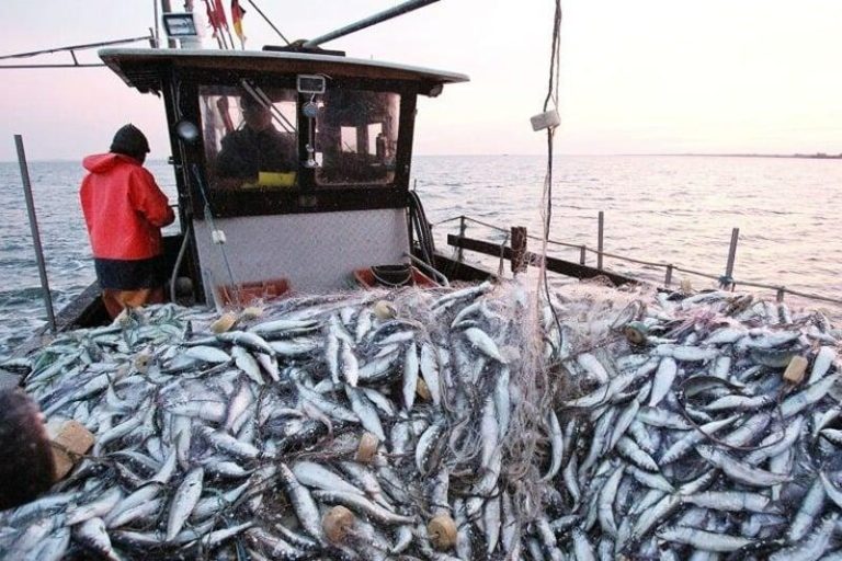 المغرب وإسبانيا يبحثان عودة الصيادين الإسبان لمياه المملكة