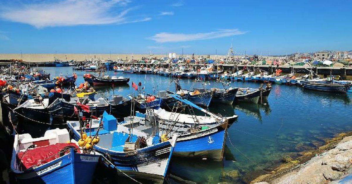 الصيد الساحلي والتقليدي.. انخفاض الكميات المفرغة بـ17 في المائة عند متم يوليوز الصيد الساحلي والتقليدي.. انخفاض الكميات المفرغة بـ17 في المائة عند متم يوليوز