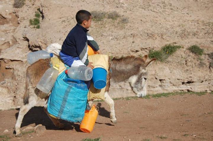 المعارضة في البرلمان تطالب بعقد لجنتي الداخلية والمالية لمناقشة التفاوتات الجهوية المعارضة في البرلمان تطالب بعقد لجنتي الداخلية والمالية لمناقشة التفاوتات الجهوية