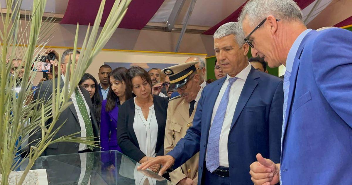 صديقي: سلسلة النخيل في صلب برنامج الجيل الأخضر ونطمح لغرس 5 ملايين نخلة في أفق 2030 صديقي: سلسلة النخيل في صلب برنامج الجيل الأخضر ونطمح لغرس 5 ملايين نخلة في أفق 2030