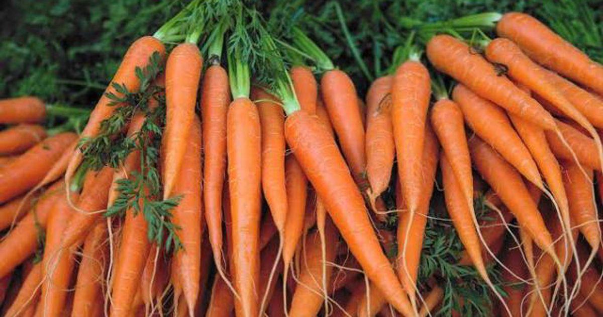 صادرات المغرب من الجزر نحو إسبانيا تتضاعف صادرات المغرب من الجزر نحو إسبانيا تتضاعف