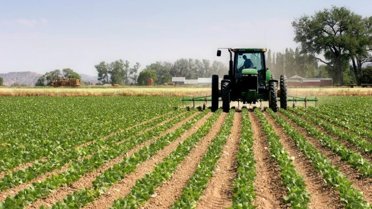الموسم الفلاحي 2022 ـ 2023: نمو متوقع بنسبة 3 في المائة