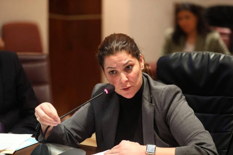 فاطمة الزهراء المنصوري: من المتوقع أن تناهز تكلفة برنامج الدعم المباشر للسكن 9,5 ملايير درهم سنويا