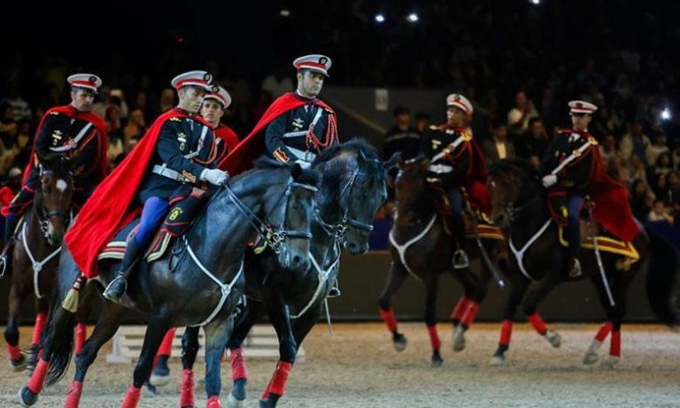 الدورة الـ14 لمعرض الفرس بالجديدة استقطبت أزيد من 200 ألف زائر