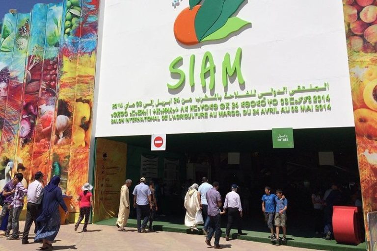 تنظيم الدورة الـ 16 للملتقى الدولي للفلاحة من 22 إلى 28 أبريل 2024 بمكناس
