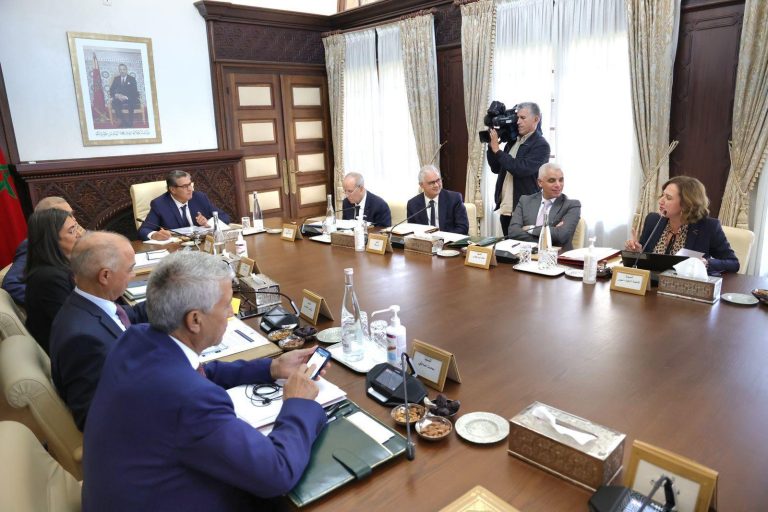 زلزال الحوز: تخصيص أزيد من 800 مليون درهم لإصلاح الطرق وتوزيع 70 ألف رأس من القطيع