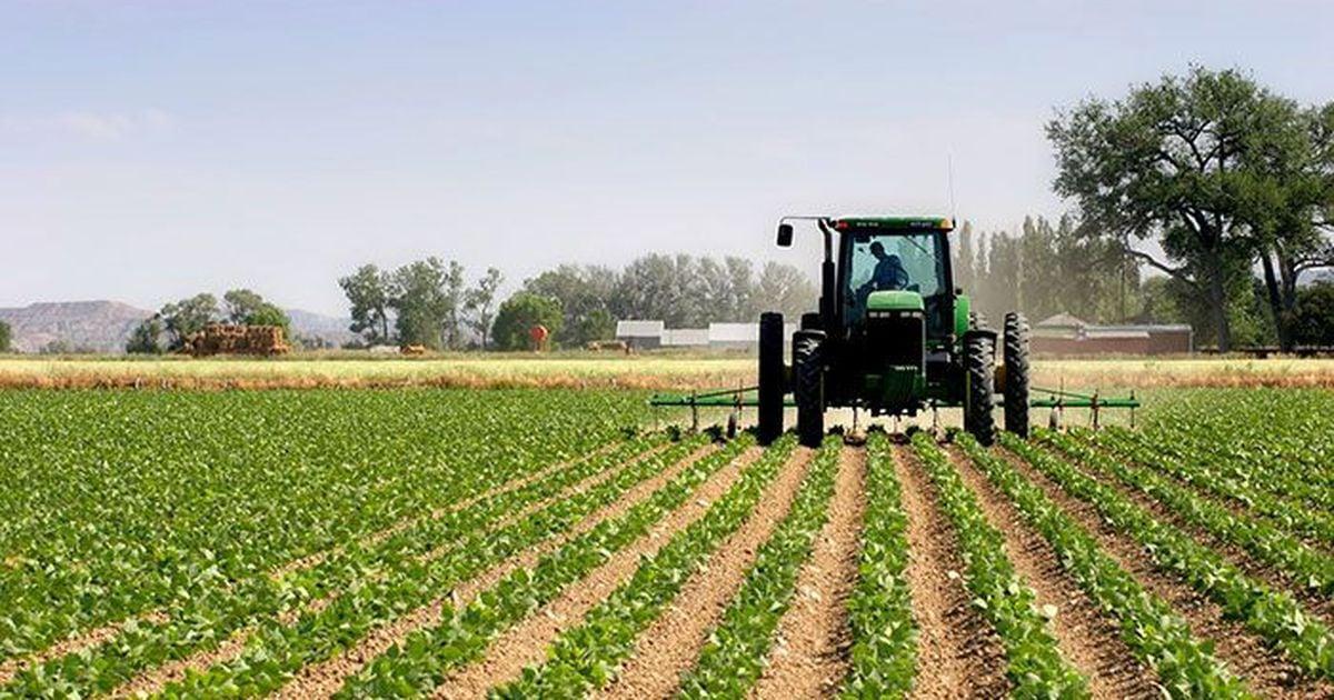 البرلمانية شباط تهاجم الحكومة بسبب المخطط الأخضر وارتفاع أسعار المنتجات الفلاحية البرلمانية شباط تهاجم الحكومة بسبب المخطط الأخضر وارتفاع أسعار المنتجات الفلاحية