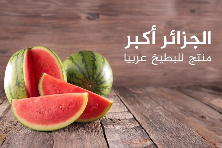 تعرف على أكثر الدول إنتاجا وتصديرا للبطيخ.. بينها 3 بلدان عربية