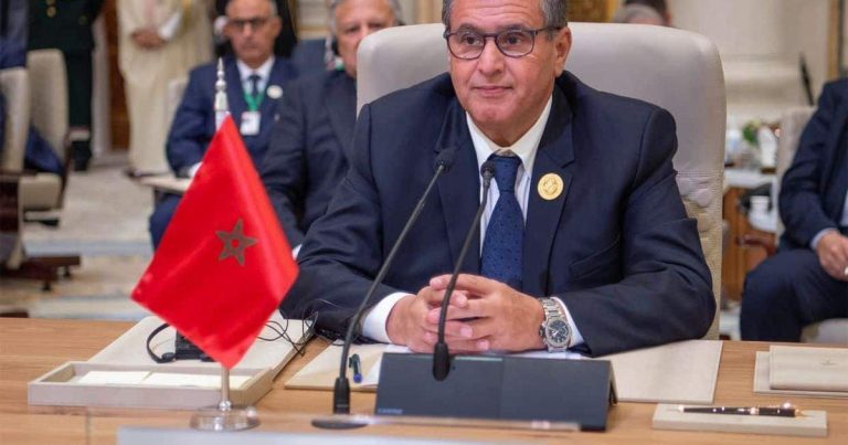 أخنوش يترأس الوفد المغربي المشارك في المنتدى العالمي العاشر للماء بإندونيسيا