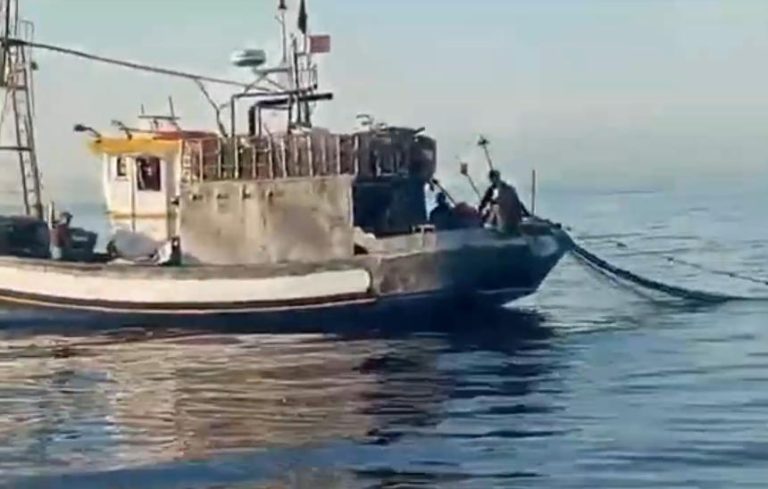 غرناطة: بدء محاكمة شخصين أجبرا صيادا في المغرب على نقلهما إلى إسبانيا تحت التهديد