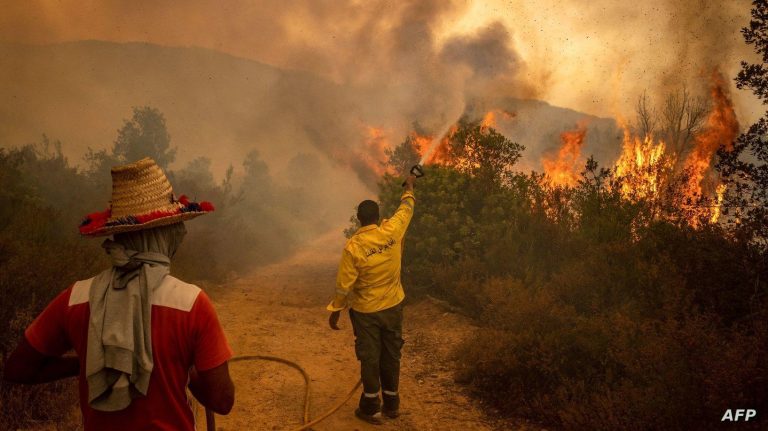 حرائق الغابات: خطورة متوسطة إلى قصوى من 29 إلى 31 يوليوز بعدة أقاليم في المغرب
