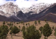 مؤشر الحفاظ على الطبيعة يضع المغرب في المرتبة 136 عالميا مؤشر الحفاظ على الطبيعة يضع المغرب في المرتبة 136 عالميا