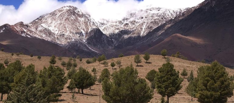 مؤشر الحفاظ على الطبيعة يضع المغرب في المرتبة 136 عالميا