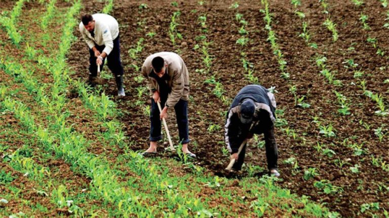 وزارة التجهيز والماء: التساقطات المطرية الأخيرة تبشر ببداية واعدة للموسم الفلاحي