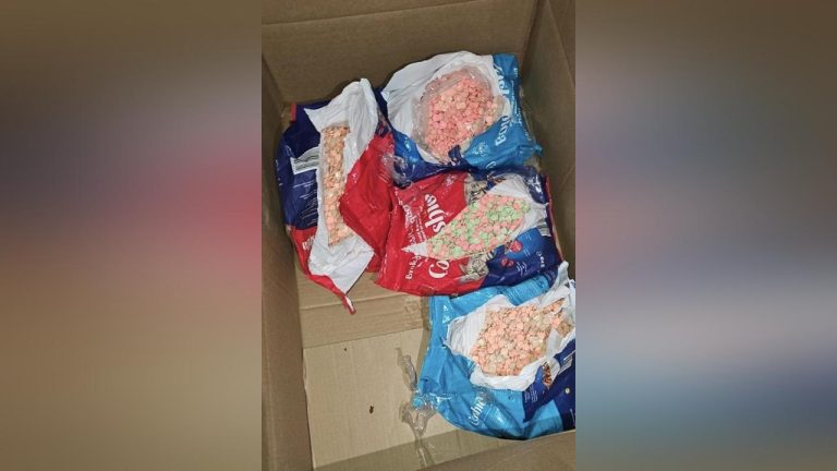 طنجة المتوسط: إحباط محاولة تهريب 209 ألف قرص مهلوس من نوع إكستازي