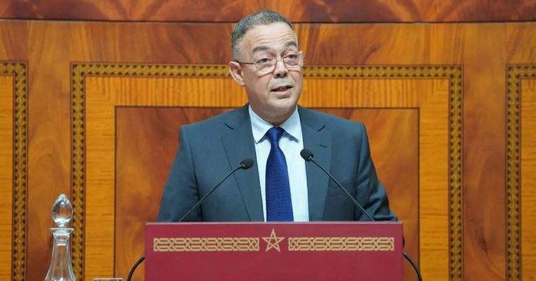 لقجع: في أجواء التوترات الجيوستراتيجية الدولية.. المغرب يؤكد قدرته على التعاطي مع الظروف المتقلبة