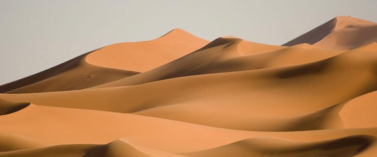 دراسة: مساحة الصحراء الكبرى زادت بـ10 في المائة خلال أقل من قرن