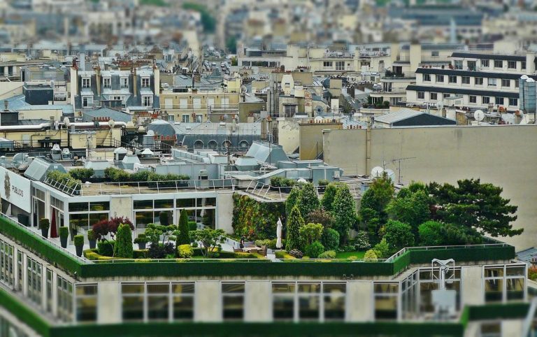 السعودية يمكن أن تقاوم الفيضانات عبر "الأسطح الخضراء"