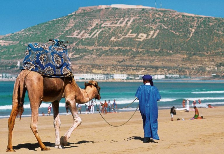 عمور: ليالي المبيت للسياحة الداخلية تمثل 30 مليون ليلة