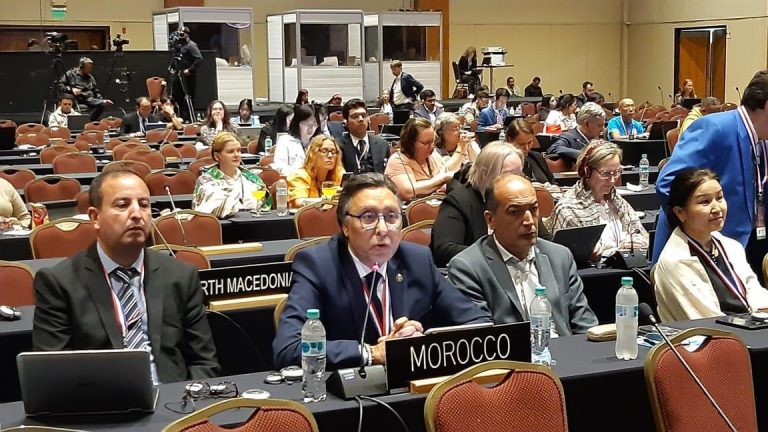 سمير الدهر: اتفاقية صون التراث الثقافي غير المادي لا يجب أن تستغل بأي شكل لأغراض السطو الثقافي