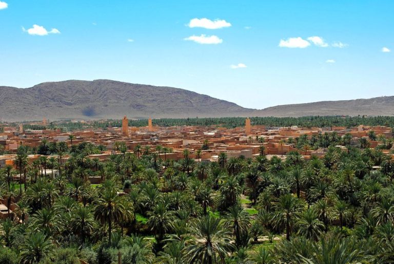 البنك الدولي يبرز استراتيجية المغرب للحفاظ على الواحات وإحيائها