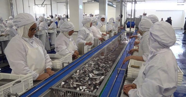 ربورتاج: تدشين وحدة صناعية متخصصة في إنتاج وصنع معلبات السمك بالداخلة