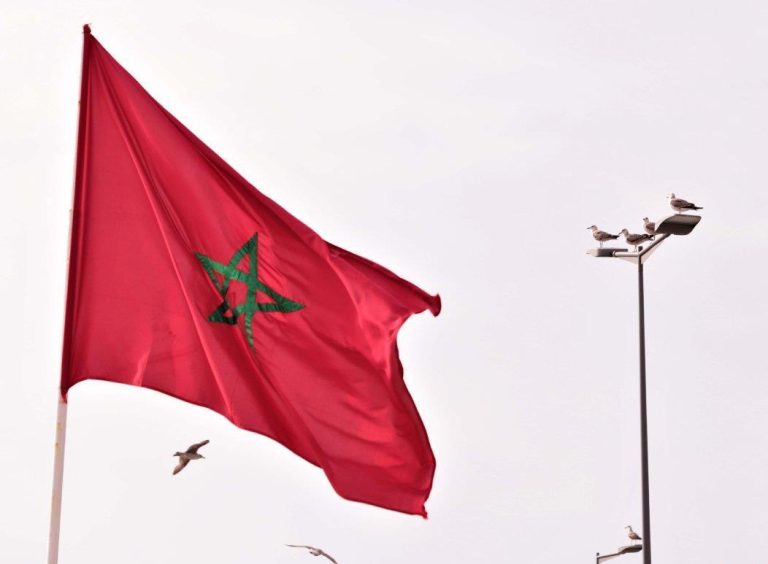 مسؤولة أممية: المغرب بلد رائد في تنفيذ الميثاق العالمي من أجل هجرة آمنة ومنظمة ونظامية