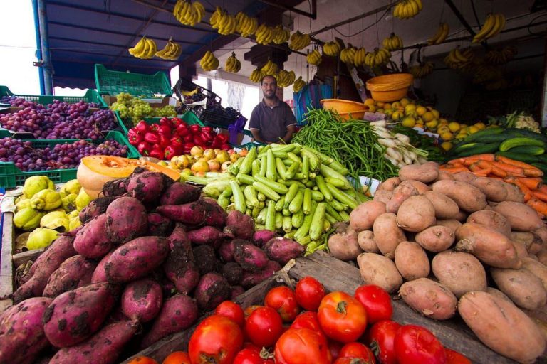 تقرير: انخفاض أسعار الخضر والفواكه والسمك بالمغرب