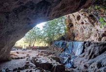 دراسة: طيور الحبارى الكبرى كانت عنصر أساسي في الطقوس الجنائزية بالمغرب قبل الميلاد دراسة: طيور الحبارى الكبرى كانت عنصر أساسي في الطقوس الجنائزية بالمغرب قبل الميلاد