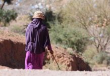 إدماج النساء القرويات قد يزيد الناتج المحلي الإجمالي بنسبة 2,2٪ إدماج النساء القرويات قد يزيد الناتج المحلي الإجمالي بنسبة 2,2٪