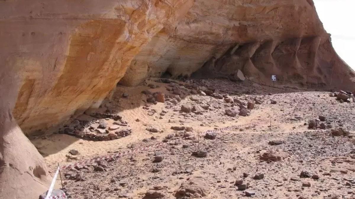 عمرها 7 آلاف عام.. العثور على سلالة بشرية مفقودة في ليبيا عمرها 7 آلاف عام.. العثور على سلالة بشرية مفقودة في ليبيا