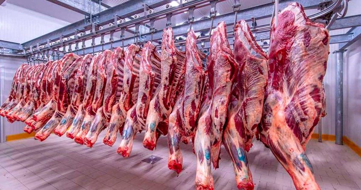 المعارضة تعتزم إنشاء لجنة برلمانية لتقصي الحقائق حول دعم استيراد اللحوم الحمراء المعارضة تعتزم إنشاء لجنة برلمانية لتقصي الحقائق حول دعم استيراد اللحوم الحمراء