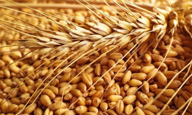 تحديد تسعيرة جديدة لدعم استيراد القمح اللين تحديد تسعيرة جديدة لدعم استيراد القمح اللين