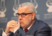 العدالة والتنمية يسحب مقترح منع مزدوجي الجنسية من الحكومة العدالة والتنمية يسحب مقترح منع مزدوجي الجنسية من الحكومة