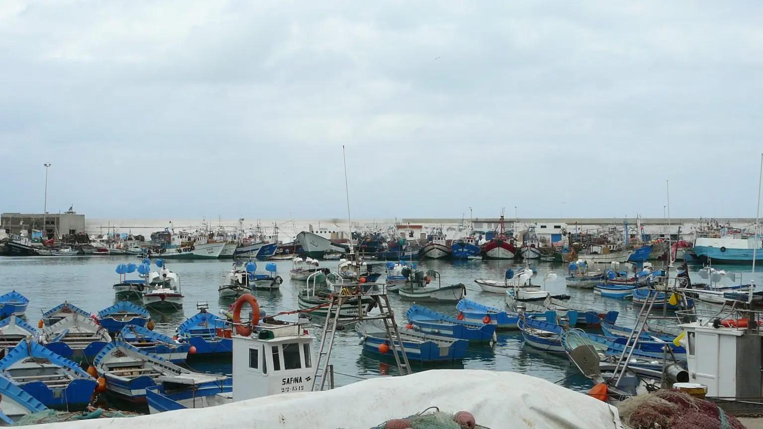 ارتفاع مفرغات الصيد بميناء المضيق بنسبة 28% ارتفاع مفرغات الصيد بميناء المضيق بنسبة 28%