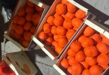 إحباط تهريب 4 أطنان من مخدر الشيرا بطنجة المتوسط إجهاض محاولة تهريب أربعة أطنان و374 كيلوغراما من مخدر الشيرا بميناء طنجة المتوسط