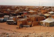 استياء متزايد في تندوف من مأزق البوليساريو استياء متزايد في تندوف من مأزق البوليساريو