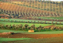 أول خرائط وطنية عالية الدقة لمغذيات التربة المغربية أول خرائط وطنية عالية الدقة لمغذيات التربة المغربية